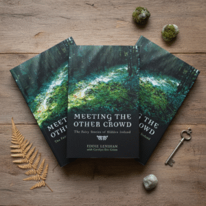 Meeting the other Crowd - Eddie Lenihan